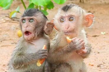 Looks like they are having fun together when eating delicious food at Rambo and France