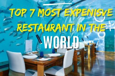 Top 7 Most Expensive Restaurants in the World | Most 7 Expensive Restaurants In the World 2023