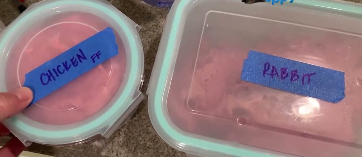 Viva Raw Cat Food Review: Do 13-Year-Old Ragdolls Like It? Viva Raw Cat Food Review: Do 13-Year-Old Ragdolls Like It?