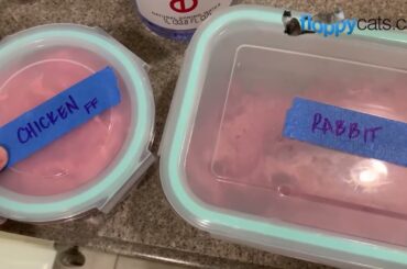 Viva Raw Cat Food Review: Do 13-Year-Old Ragdolls Like It?