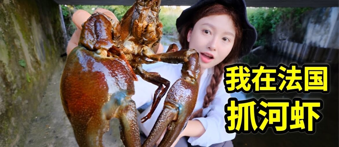 Catching river shrimp in France | Food Tours Catching river shrimp in France | Food Tours