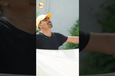 Jamun Harvesting - Salt it and Shake it Food Fusion