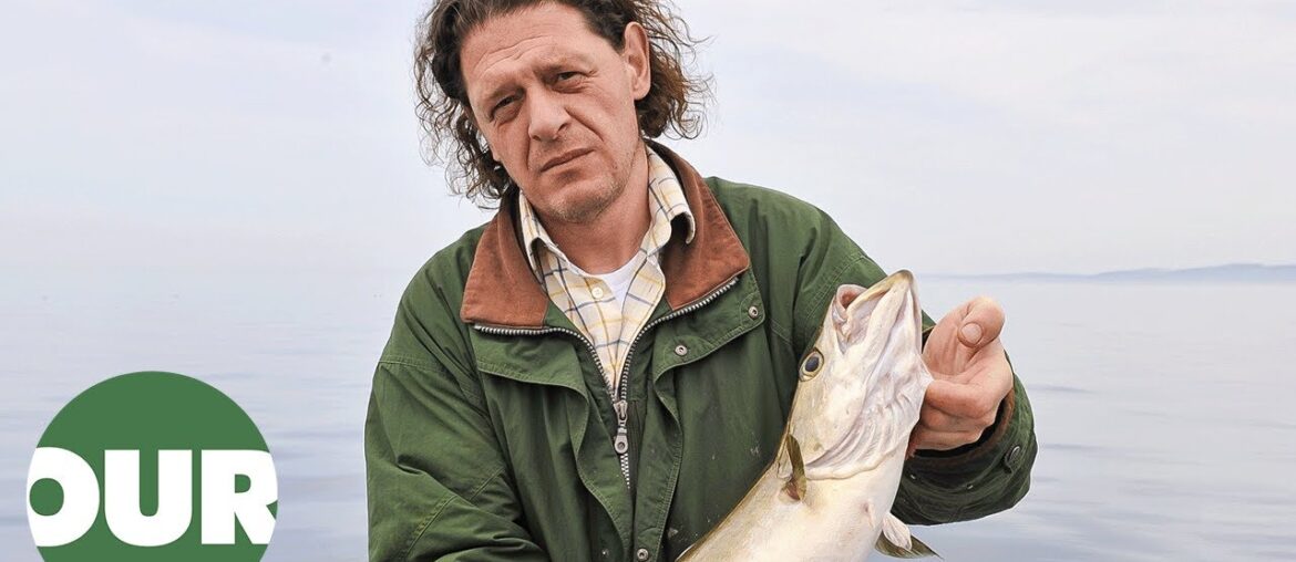 Marco's Great British Feast – Episode 1 | The Perfect Fish Pie | Our Taste Marco's Great British Feast - Episode 1 | The Perfect Fish Pie | Our Taste