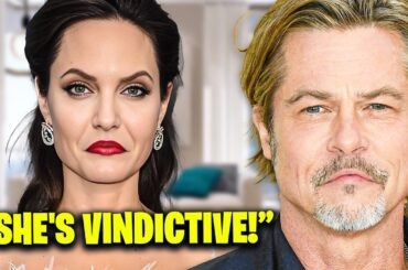 Brad Pitt BREAKS SILENCE On Angelina Jolie's Secretive Vineyard Move