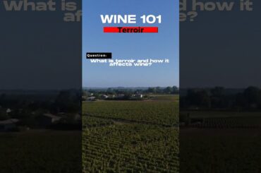 Wine 101: Terrior-What is terrior and how it affects wine?