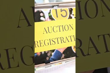 Nick Psarros - 42 Jenkins Street, Rosewater