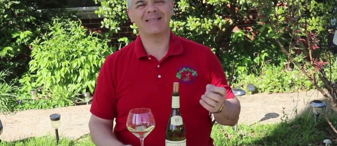 Louis Jadot Bourgogne Chardonnay 2021, Wild Wine Life Louis Jadot Bourgogne Chardonnay 2021, Wild Wine Life