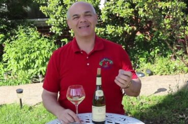 Louis Jadot Bourgogne Chardonnay 2021, Wild Wine Life