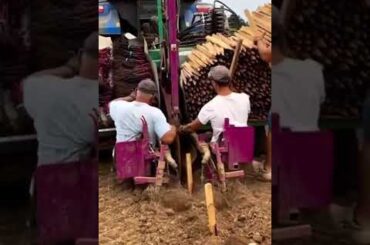 Planting Wood Posts for a Cabernet Franc Vineyard in France