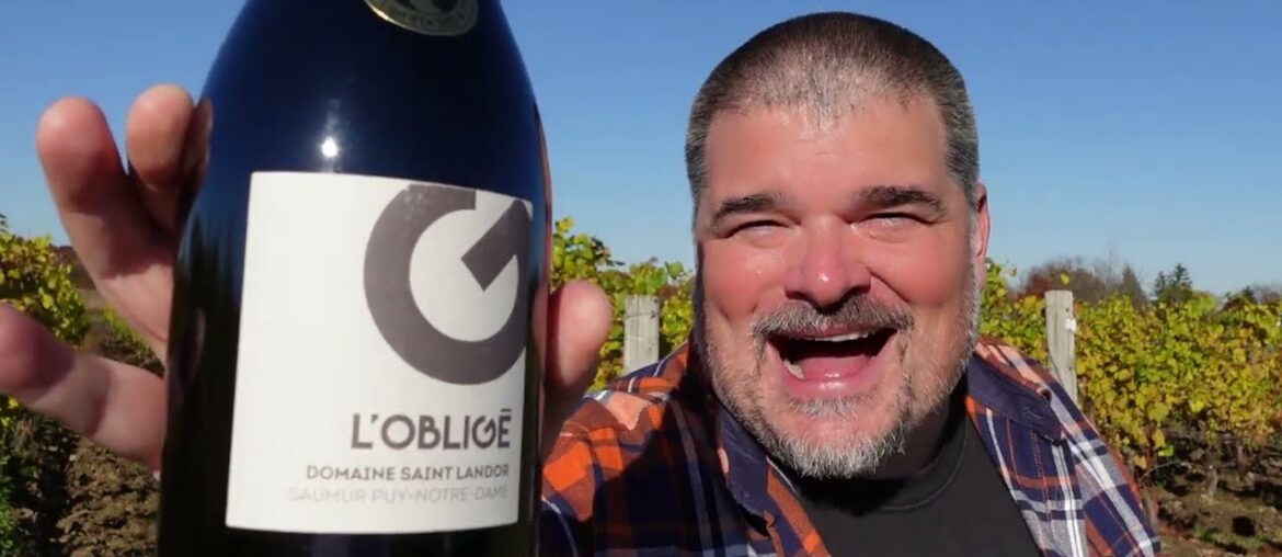An AMAZING Domaine Saint Landor 2019 L'Oblige (Loire, France)