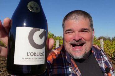 An AMAZING Domaine Saint Landor 2019 L'Oblige (Loire, France)