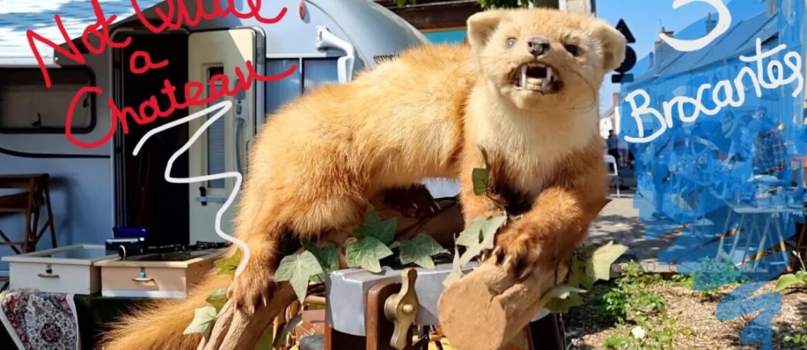 Not Quite a Chateau DIY 194 - Three French Brocantes in One Vlog - and New Taxidermy for Tony