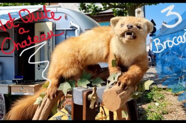 Not Quite a Chateau DIY 194 - Three French Brocantes in One Vlog - and New Taxidermy for Tony