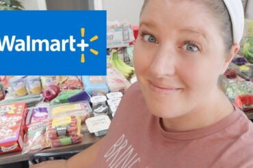 $250 Walmart Grocery Haul With Prices