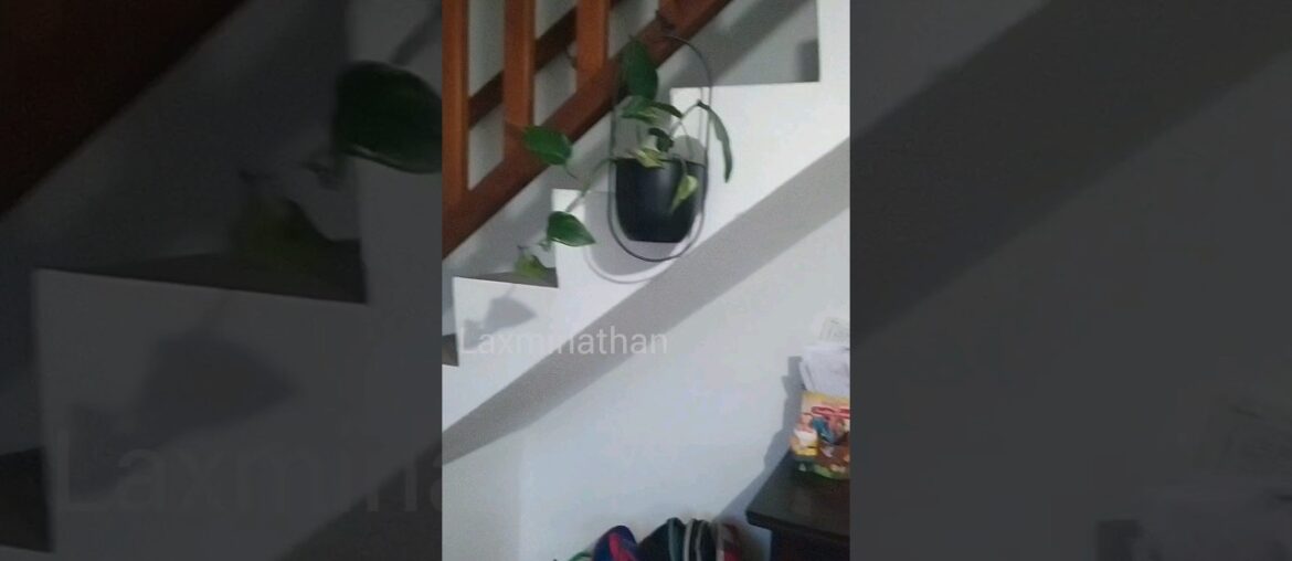 Tamil mom @ france evening routine vlog #trending #youtubeshorts #shortvideo #viral #trendingshorts