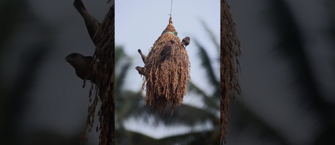 #cooking #food #foodie #foodporn #cooking #food #foodie #foodporn