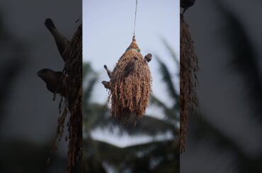 #cooking #food #foodie #foodporn