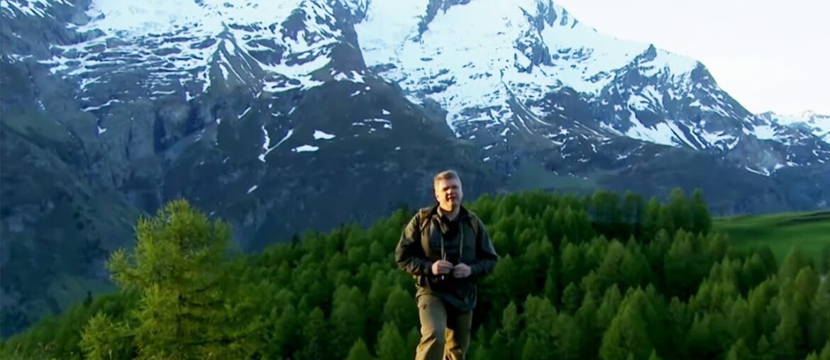 Exploring France's Beautiful Alpine Region | Ray Mears Wild France Compilation