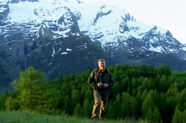 Exploring France's Beautiful Alpine Region | Ray Mears Wild France Compilation