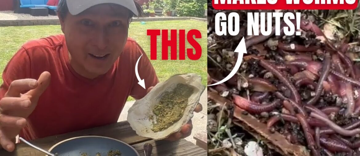 THIS Worm Food Makes the Best Castings for Your Living Soil Garden THIS Worm Food Makes the Best Castings for Your Living Soil Garden