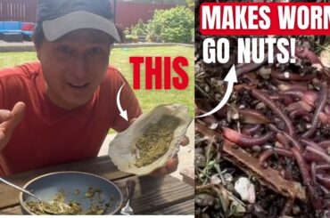 THIS Worm Food Makes the Best Castings for Your Living Soil Garden