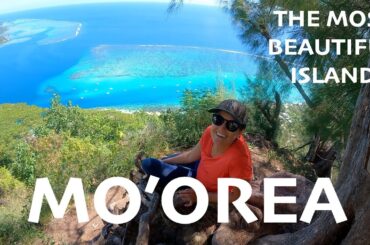 We found the perfect island - Mo'orea French Polynesian EP70