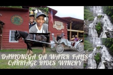 Lazy Daze Hammocks Bar Stools/ Dahlonega Ga. Water Falls Carriage Rides Winery