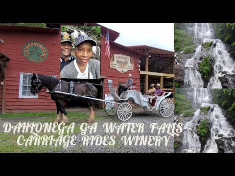 Lazy Daze Hammocks Bar Stools/ Dahlonega Ga. Water Falls Carriage Rides Winery Lazy Daze Hammocks Bar Stools/ Dahlonega Ga. Water Falls Carriage Rides Winery