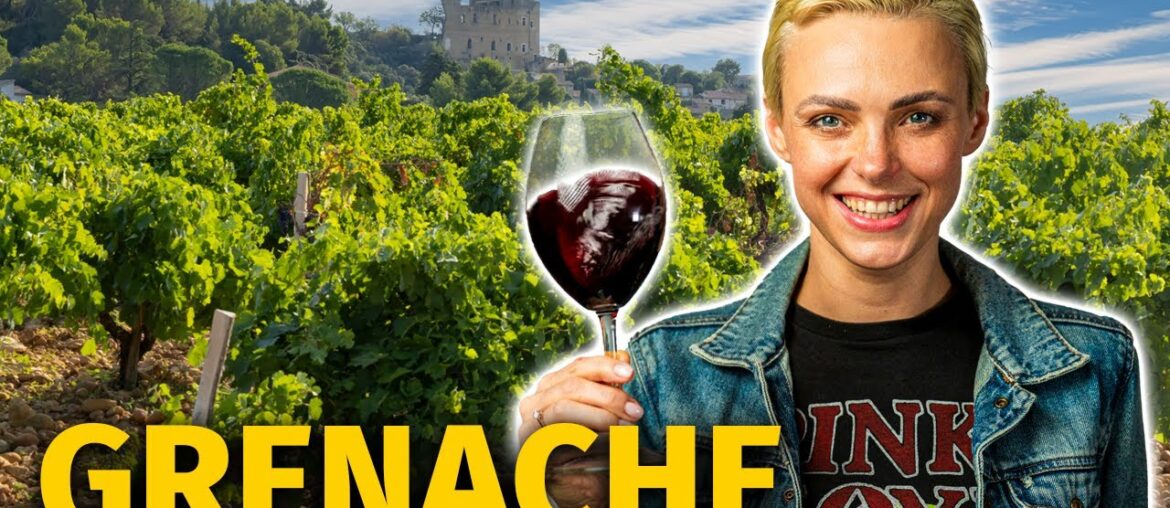 GRENACHE / GARNACHA Grape: The Wine World's Next Big Thing!