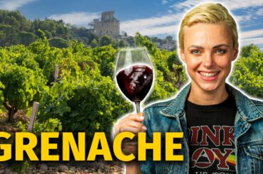 GRENACHE / GARNACHA Grape: The Wine World's Next Big Thing!