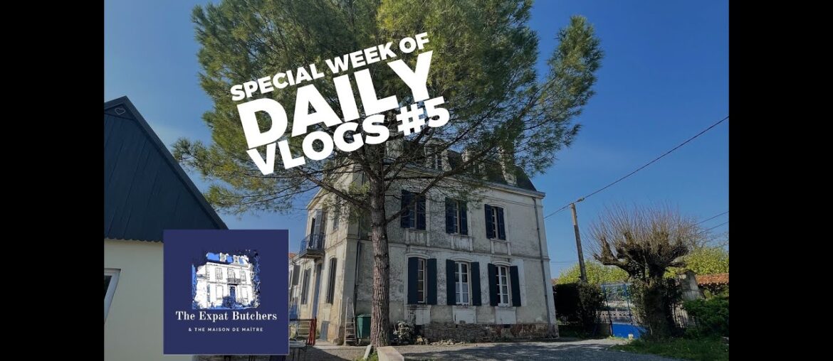 Special Week Of Daily Vlogs #5 Special Week Of Daily Vlogs #5