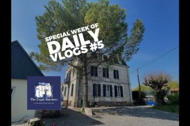 Special Week Of Daily Vlogs #5