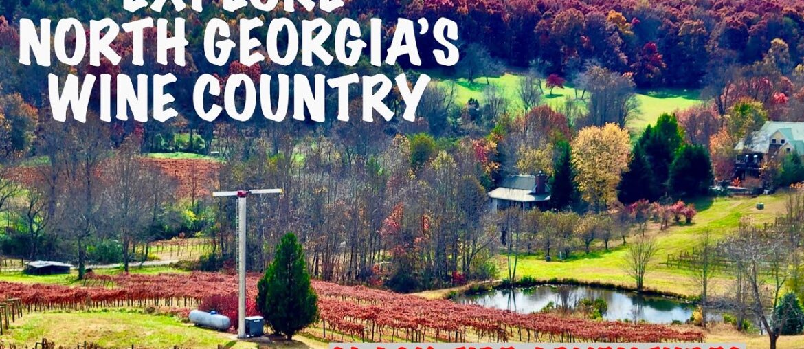 A Visit to North Georgia's Wine Country: A Slack Tide Travel Guide