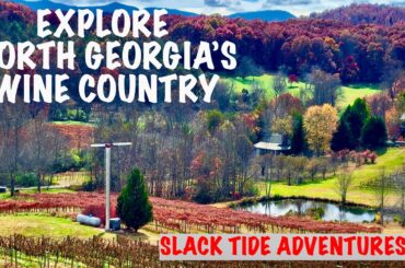 A Visit to North Georgia's Wine Country: A Slack Tide Travel Guide
