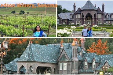 Ledson Winery,  Sonoma Valley,  California(Most Luxurious Winery in Sonoma)