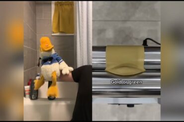 Donald Duck Funniest TikToks That Will Make You LAUGH!