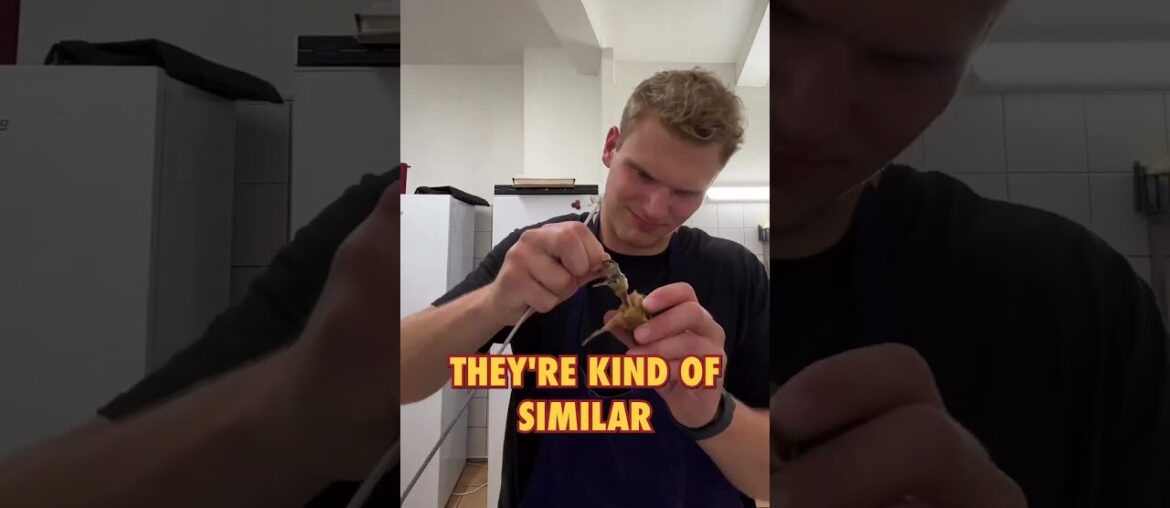 Prepping sea snails on my first day in a French kitchen - France Day 2 Pt. 1