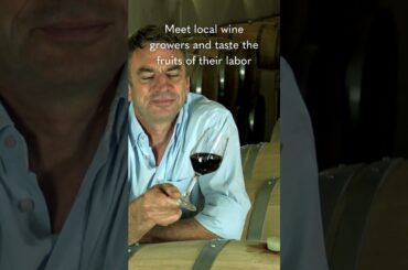 Experience a Taste of Bordeaux