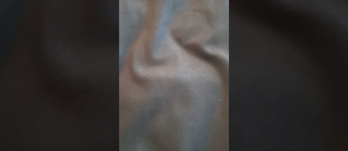 French fry #funny #food