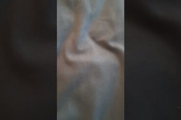 French fry #funny #food