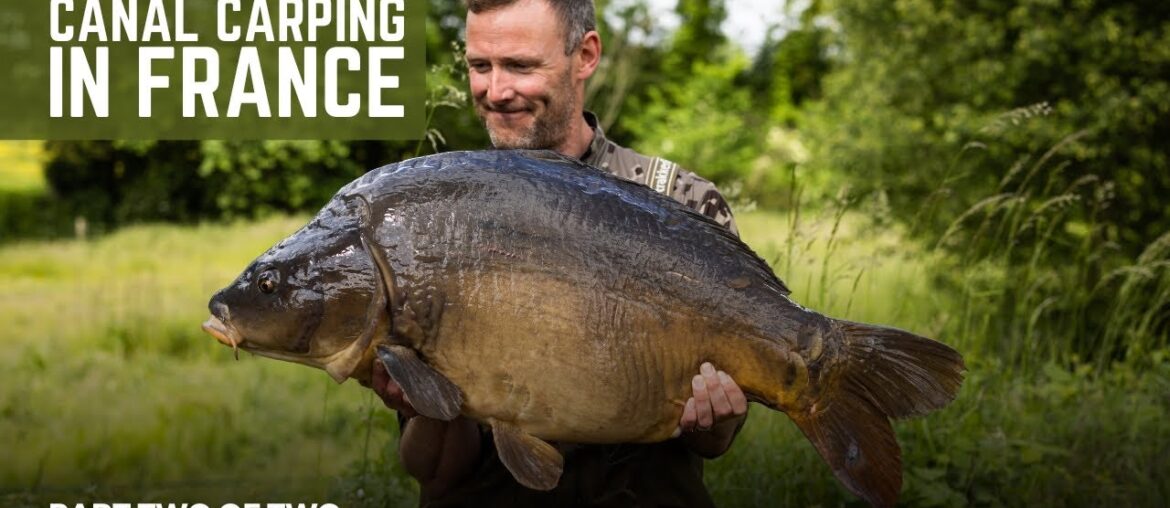 Canal Carping in France | Part 2 of 2 | Extract Canal Carping in France | Part 2 of 2 | Extract