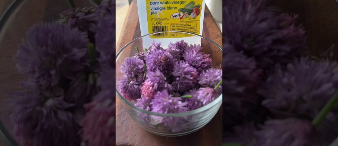 Katherine Wants: Chive Flower Vinegar Katherine Wants: Chive Flower Vinegar