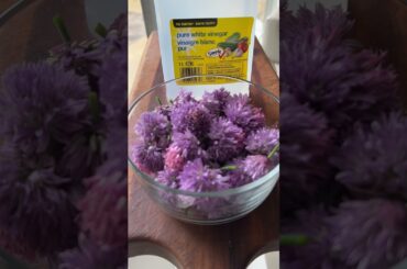 Katherine Wants: Chive Flower Vinegar