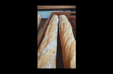 Taste the French Delights at Luang Prabang's Best Bakery #short #yummy #frenchcuisine #fresh #rustic