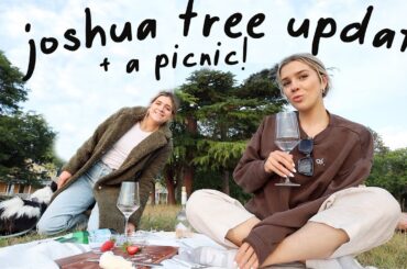 Am I still building a house in Joshua Tree....?