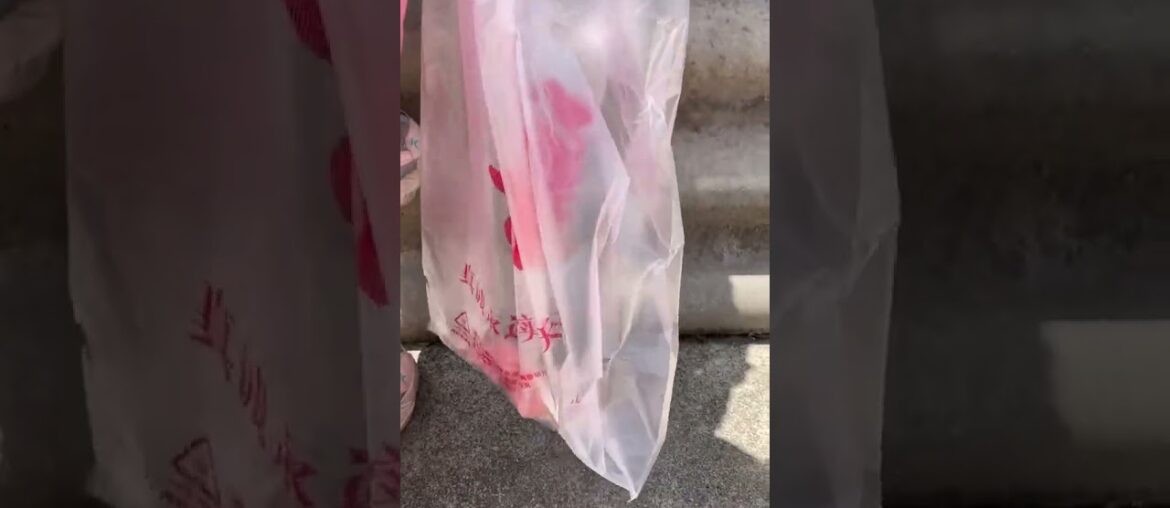 Delicious gastronomy on the iron side Ishigami gastronomic outdoor gastronomy