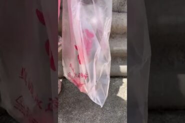 Delicious gastronomy on the iron side Ishigami gastronomic outdoor gastronomy