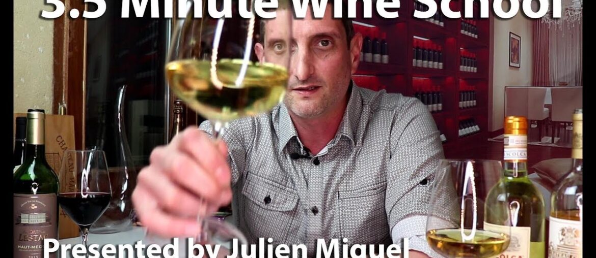 Julien's Wine School - Fun Learning!