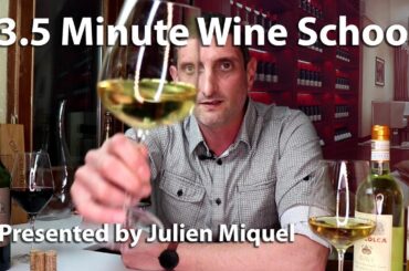 Julien's Wine School - Fun Learning!