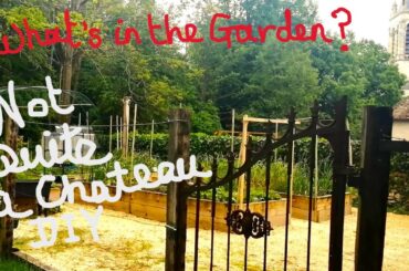 Not Quite a Chateau DIY 195 - Garden Update - Spring to Summer - First Harvests and Pretty Flowers